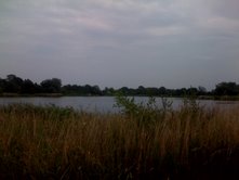 Cotswold Water Park Cotswold Water Park