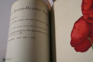 rare book photo