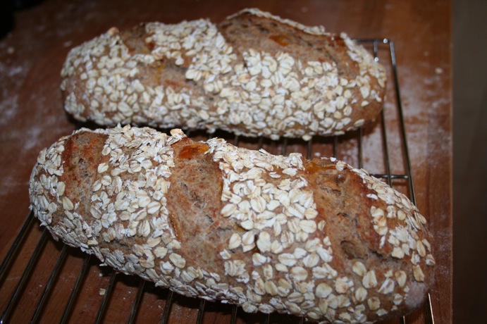 Apricot Oat Bread